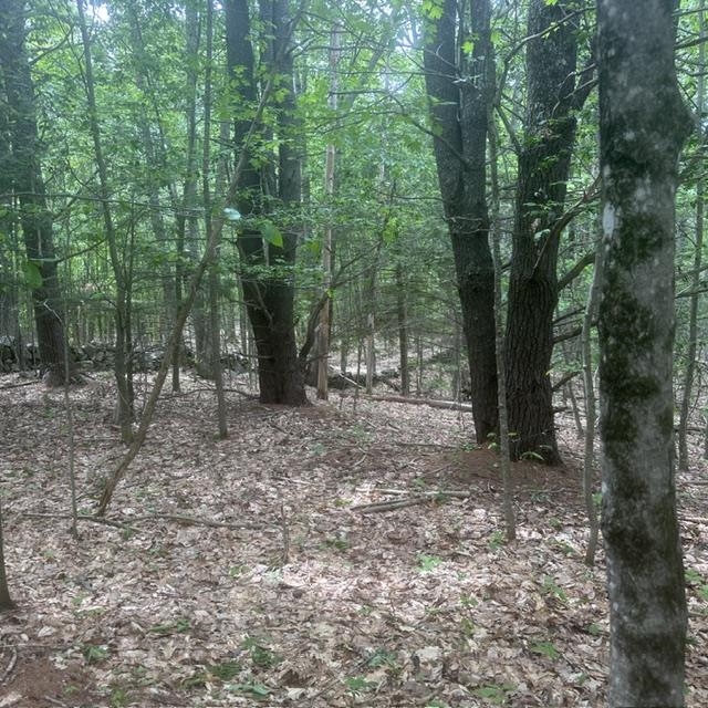 44.1 Lovell Lake Road Sanbornville, NH 03872 - Photo 8 of 13