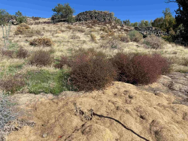 $219,500 | Tbd Base Line Road, Melba, ID 83641