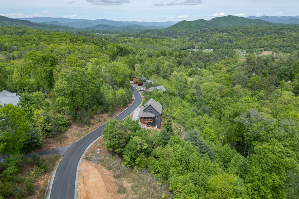 455 Point Overlook Trail Murphy, NC 28906 - Photo 41 of 56