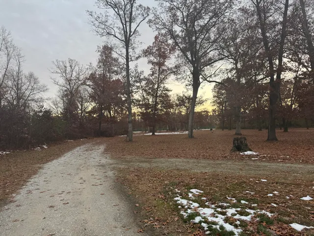 a view of outdoor space with yard
