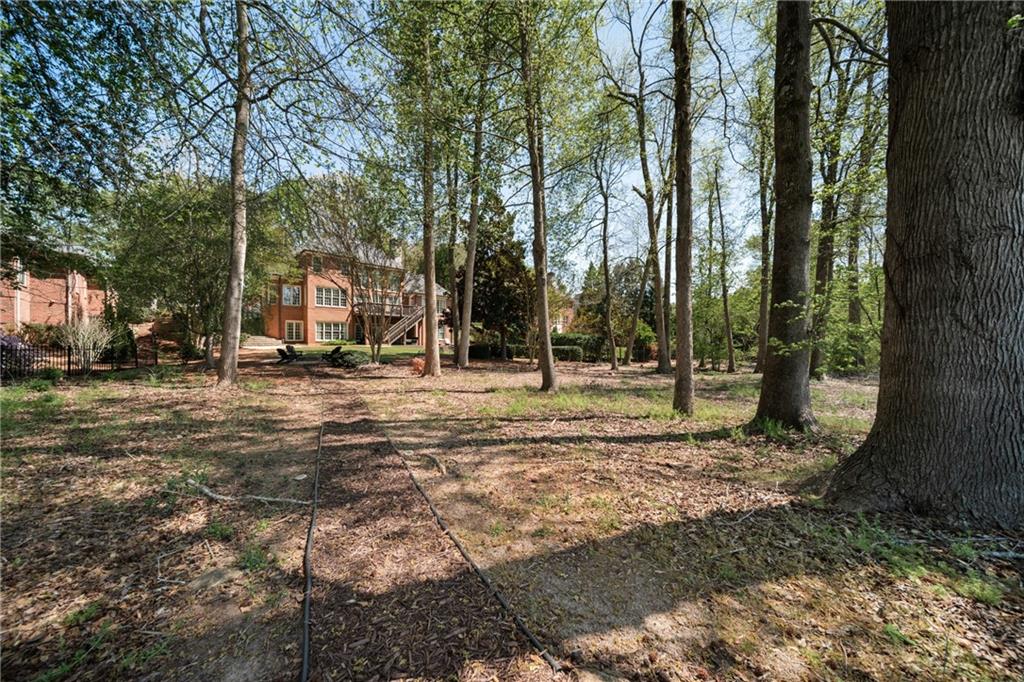 7105 Sheffield Place Cumming, GA 30040 - Photo 44 of 73 a view of road with trees