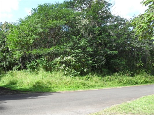 405 Oahu Road Pahoa, HI 96778 - Photo 1 of 4 Gallery Image 1