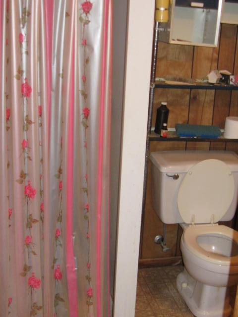 704 Goldmine Road Glade Hill, VA 24092 - Photo 6 of 20 Bathroom