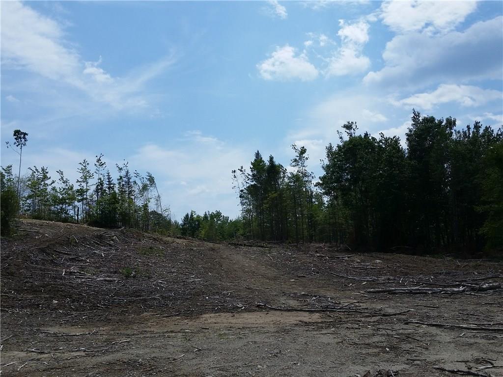 300 Plaisted Road Jay, ME 04239 - Photo 8 of 14 Log lands remain with good access...