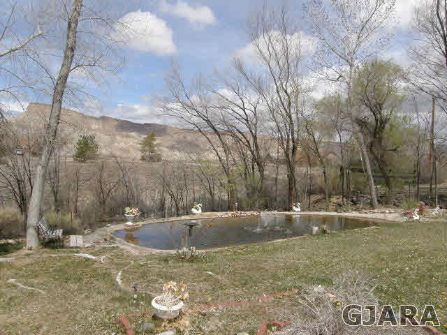 569 36 Road Palisade, CO 81526 - Photo 16 of 30 Gallery Image 16