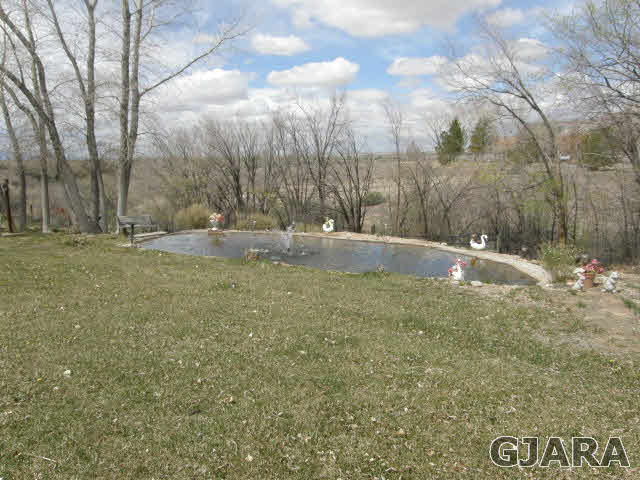 569 36 Road Palisade, CO 81526 - Photo 18 of 30 Gallery Image 18