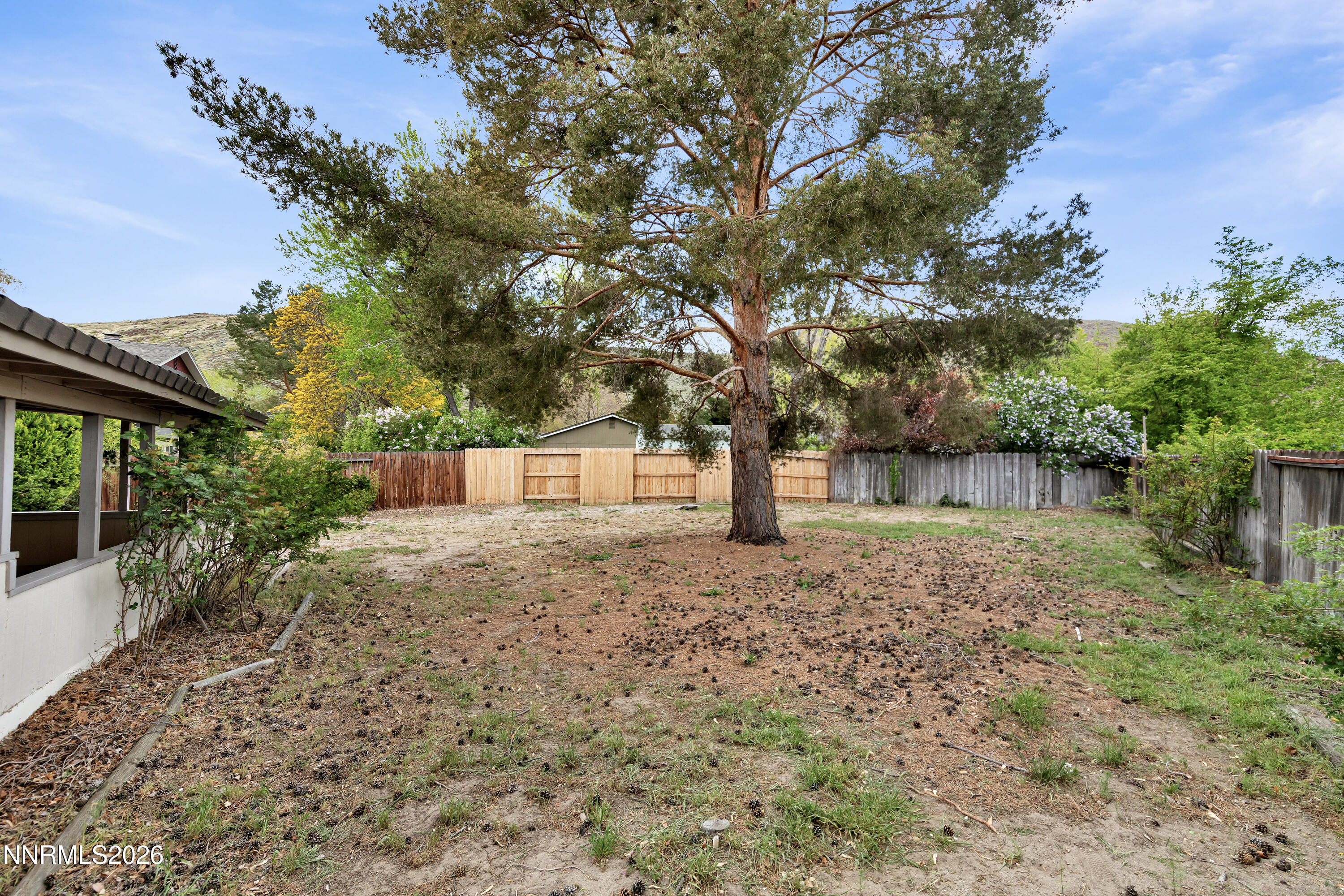 4455 Matich Drive Reno, NV 89502 - Photo 26 of 28 Backyard 3