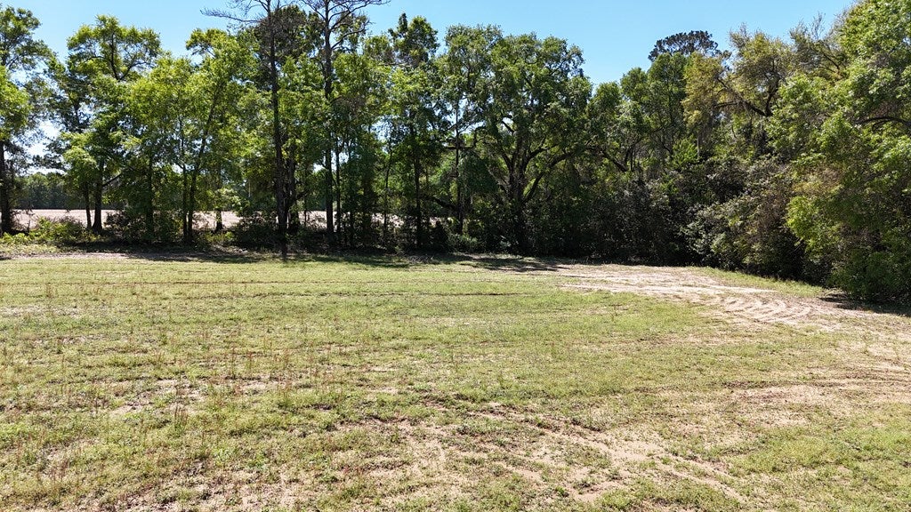 Vacant Rook Road Ochlocknee, GA 31773 - Photo 3 of 26 Gallery Image 3
