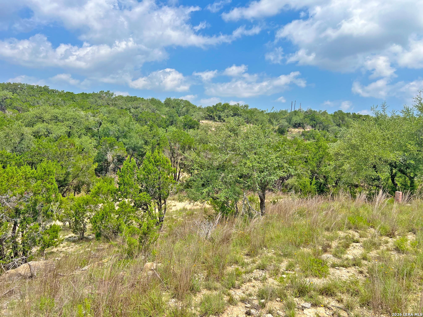 119 Champion Way Spring Branch, TX 78070 - Photo 13 of 22
