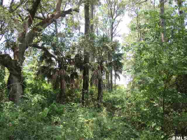 772 Eddings Point Road St. Helena Island, SC 29920 - Photo 1 of 4 Additional Photo