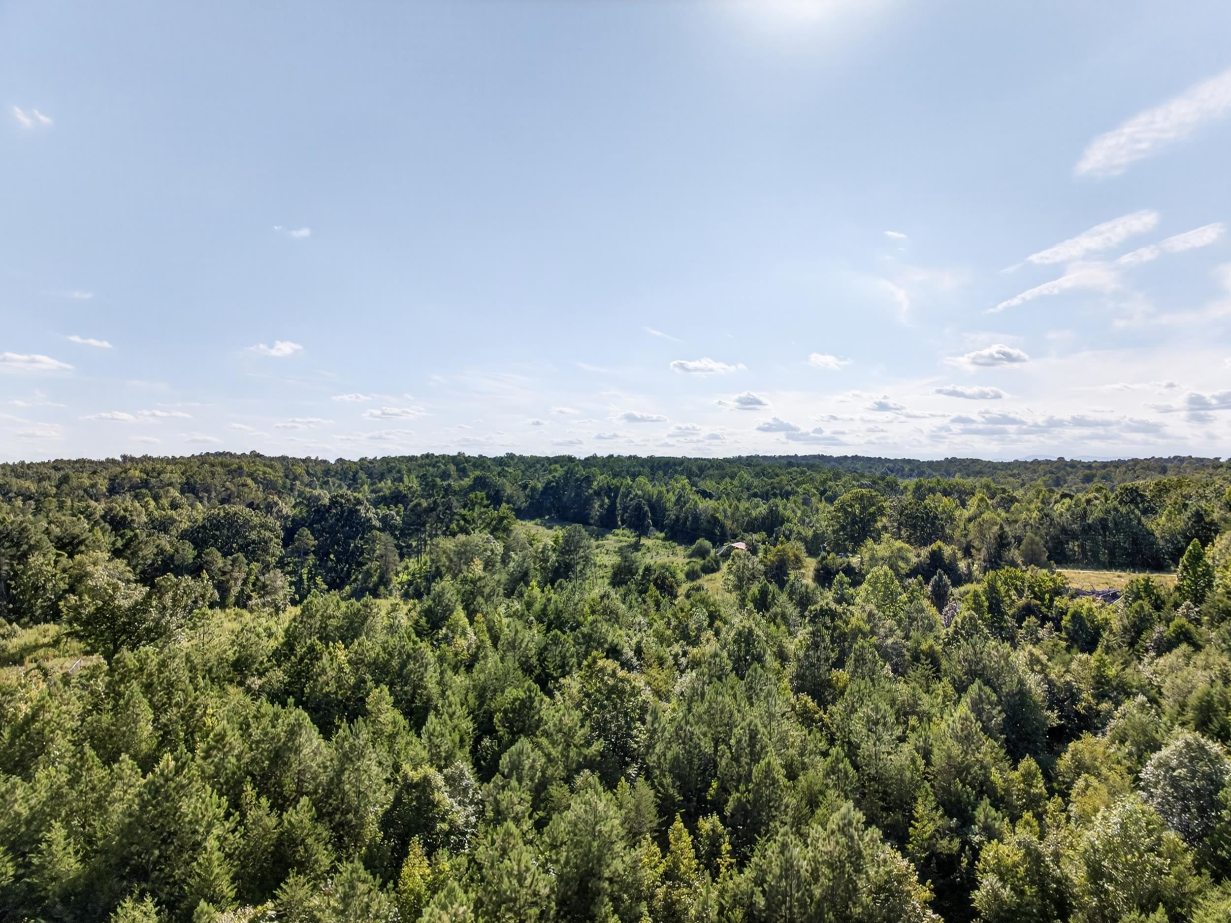 550 Harris Road Chesnee, SC 29323 - Photo 27 of 33