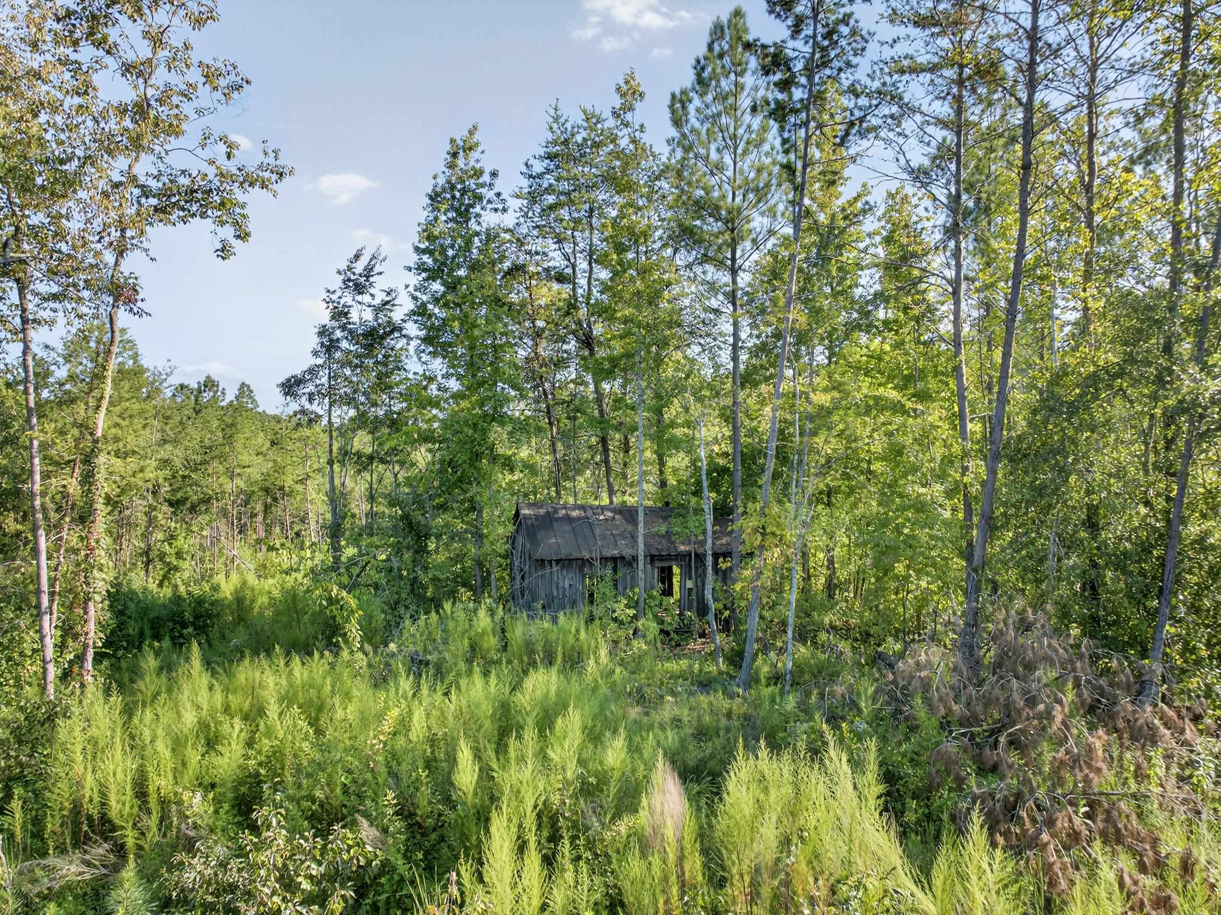 550 Harris Road Chesnee, SC 29323 - Photo 5 of 33