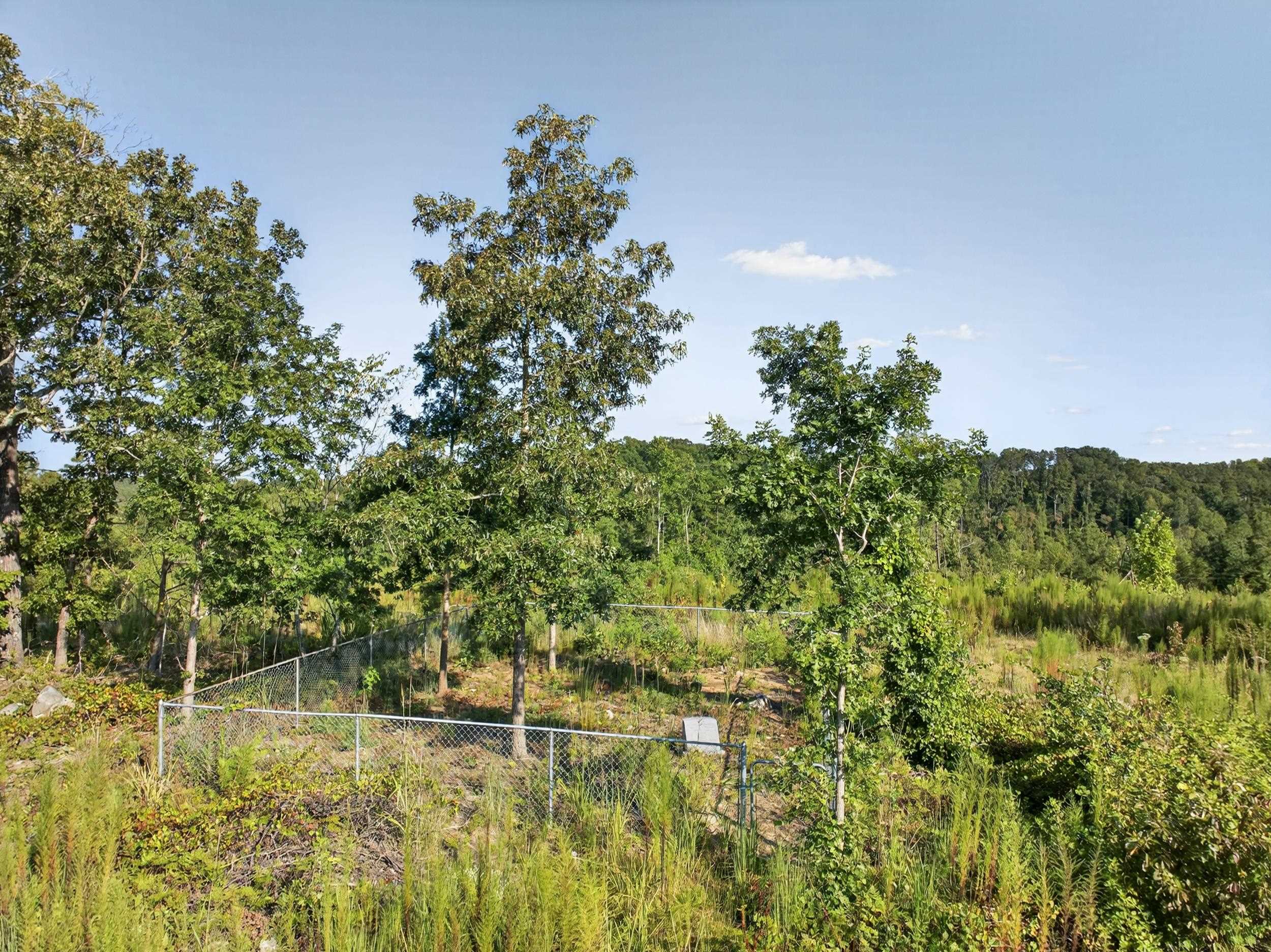 550 Harris Road Chesnee, SC 29323 - Photo 10 of 33