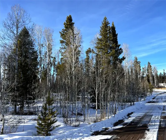 a view of a park with large trees