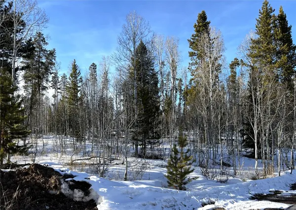 a view of outdoor space with lots of trees