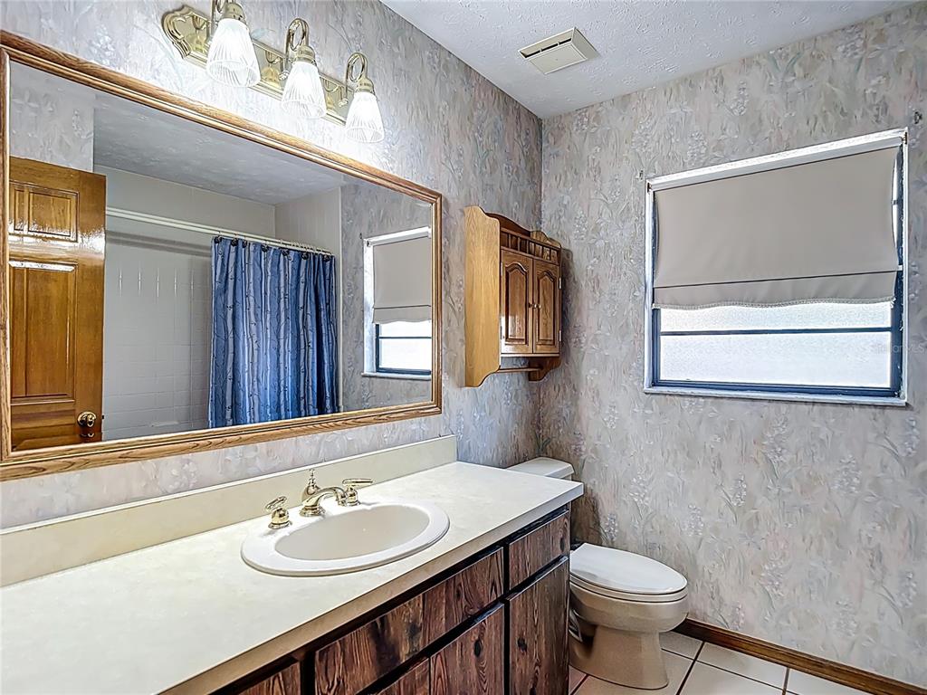 1004 Mook Street Brandon, FL 33510 - Photo 33 of 47