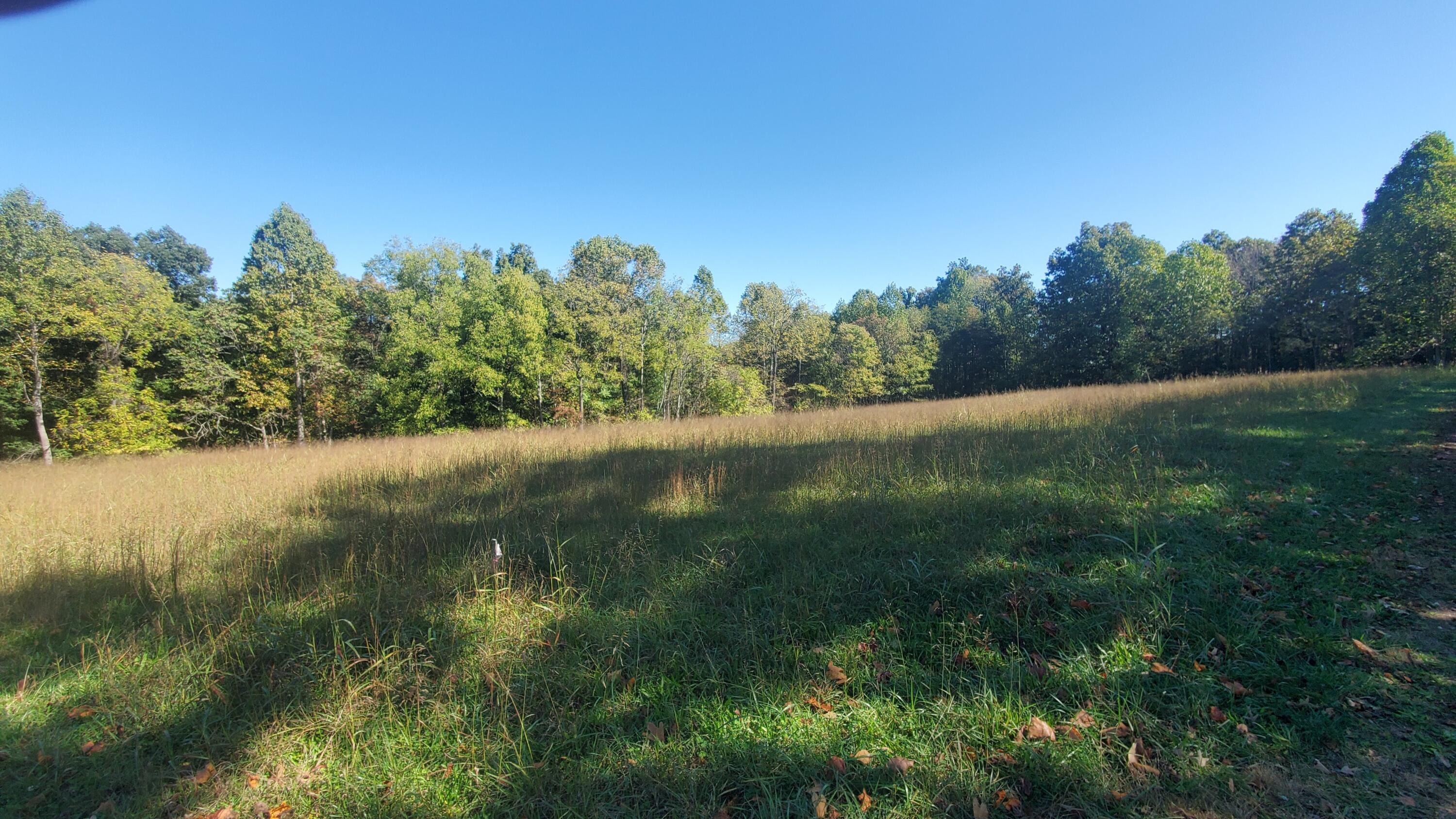 0 Dove Road Union Hall, VA 24176 - Photo 1 of 2 Home site
