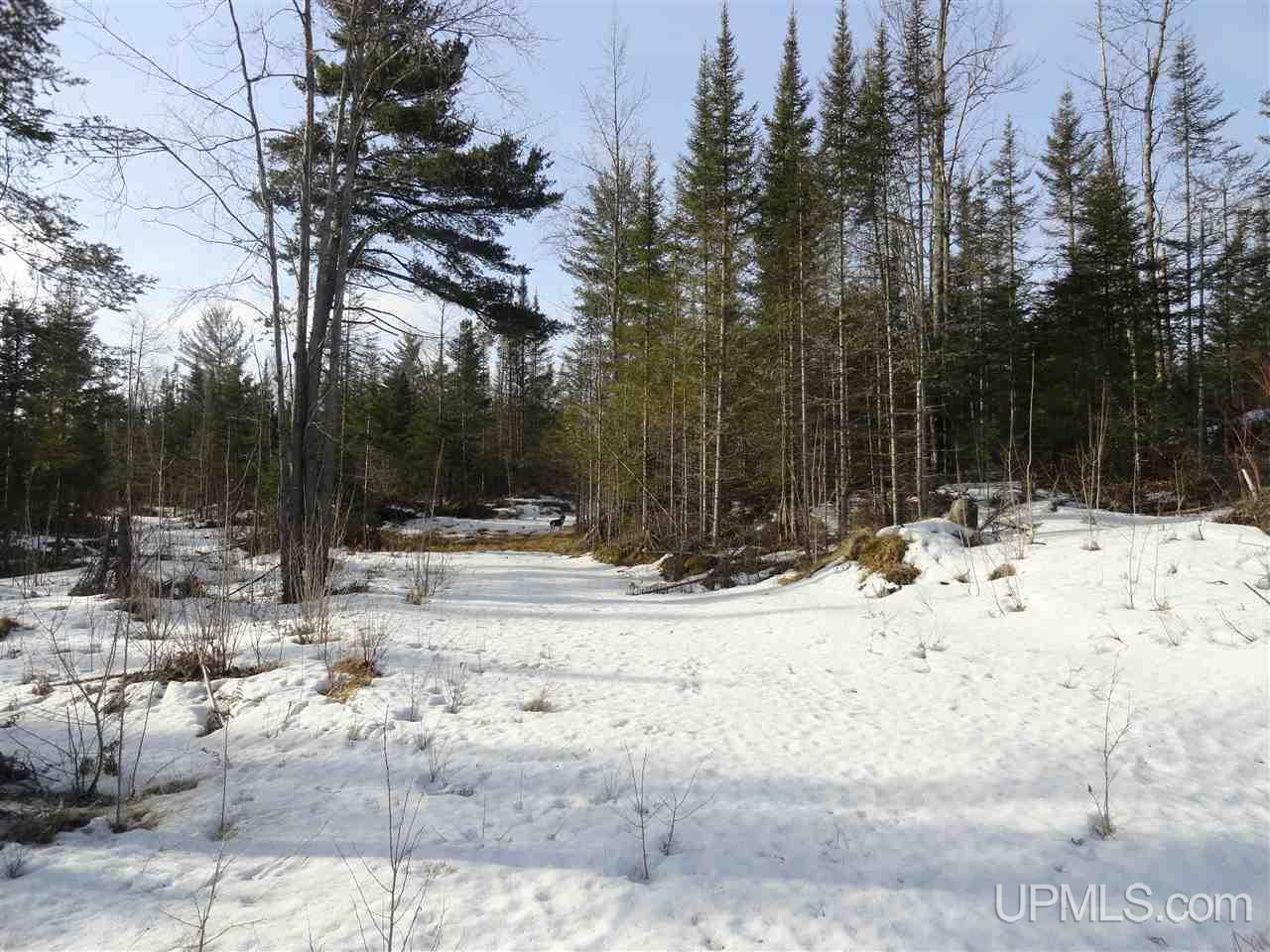 116-acres 116-acres Co Road Negaunee, MI 49866 - Photo 31 of 37