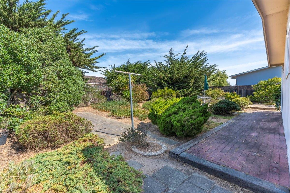 3111 Carmelo Circle Marina, CA 93933 - Photo 29 of 35 a view of a garden with a pathway