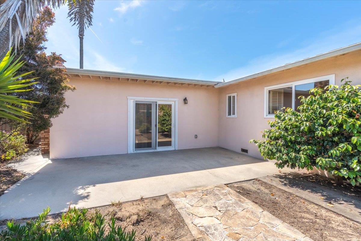 3111 Carmelo Circle Marina, CA 93933 - Photo 30 of 35 a view of backyard with potted plants and a palm tree