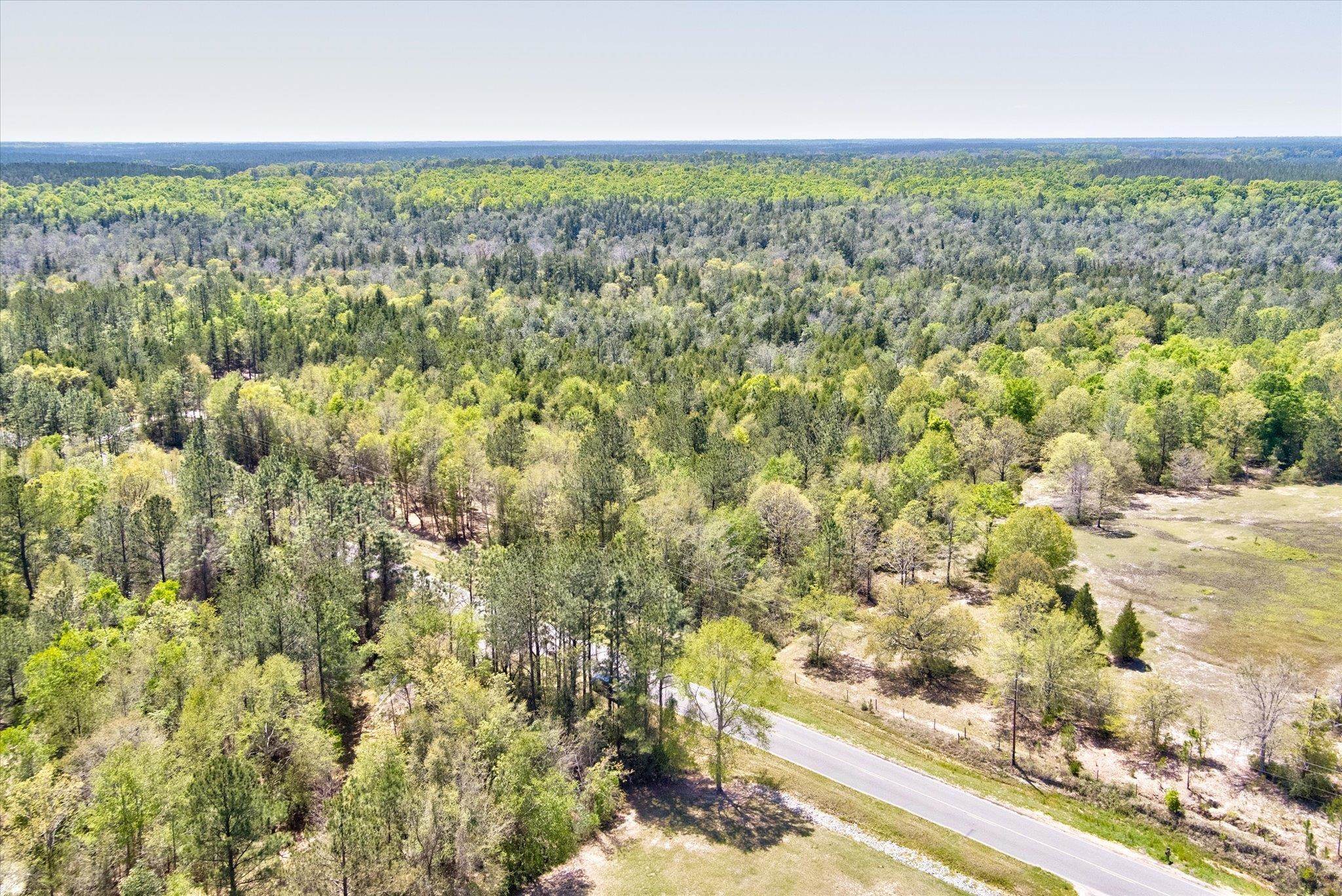 44772 Phillipsville Road Bay Minette, AL 36507 - Photo 15 of 15