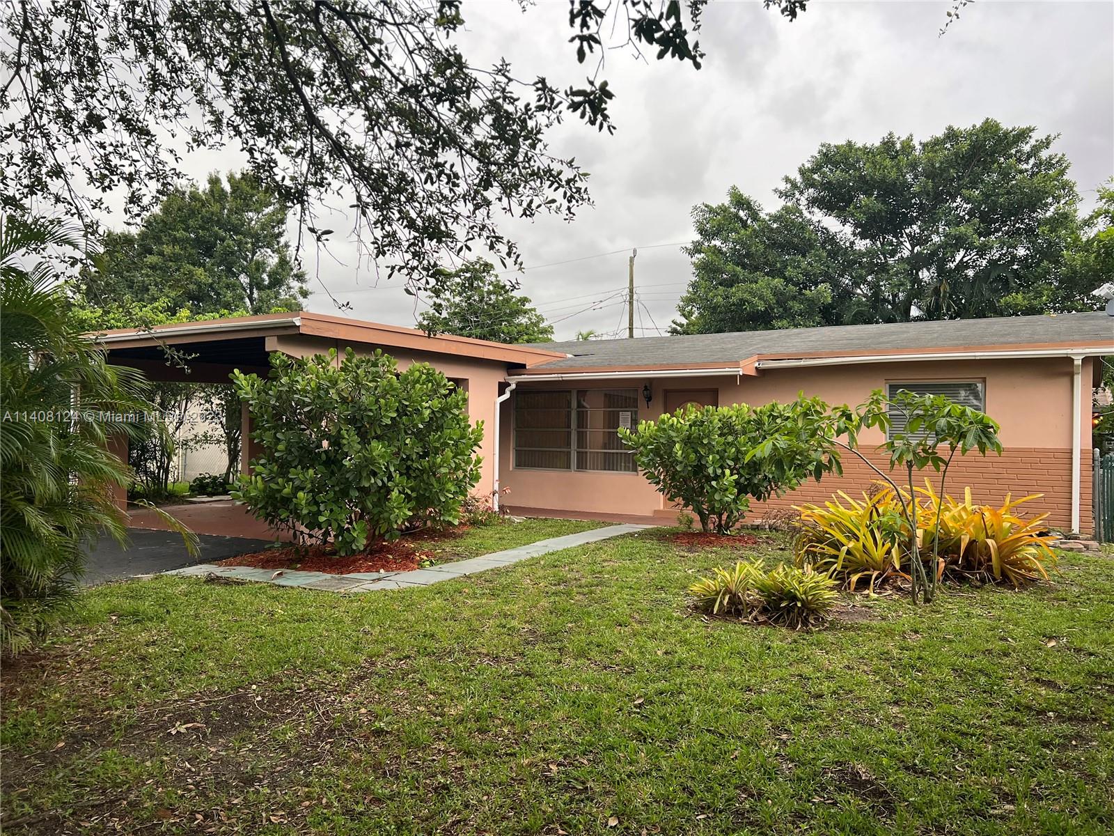 a view of a backyard with plants and a garden