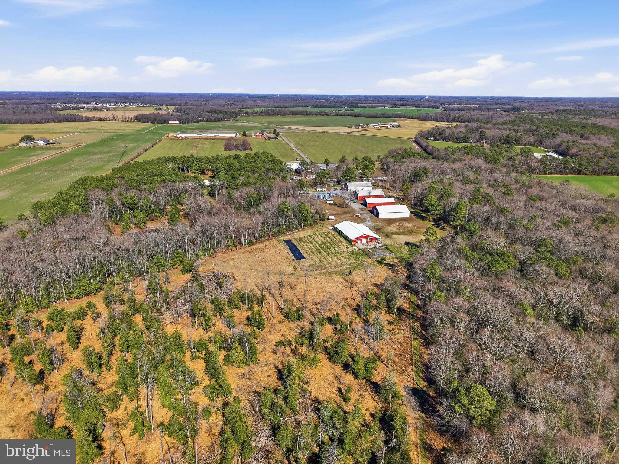 89 Hunting Quarter Road Harrington, DE 19952 - Photo 3 of 26