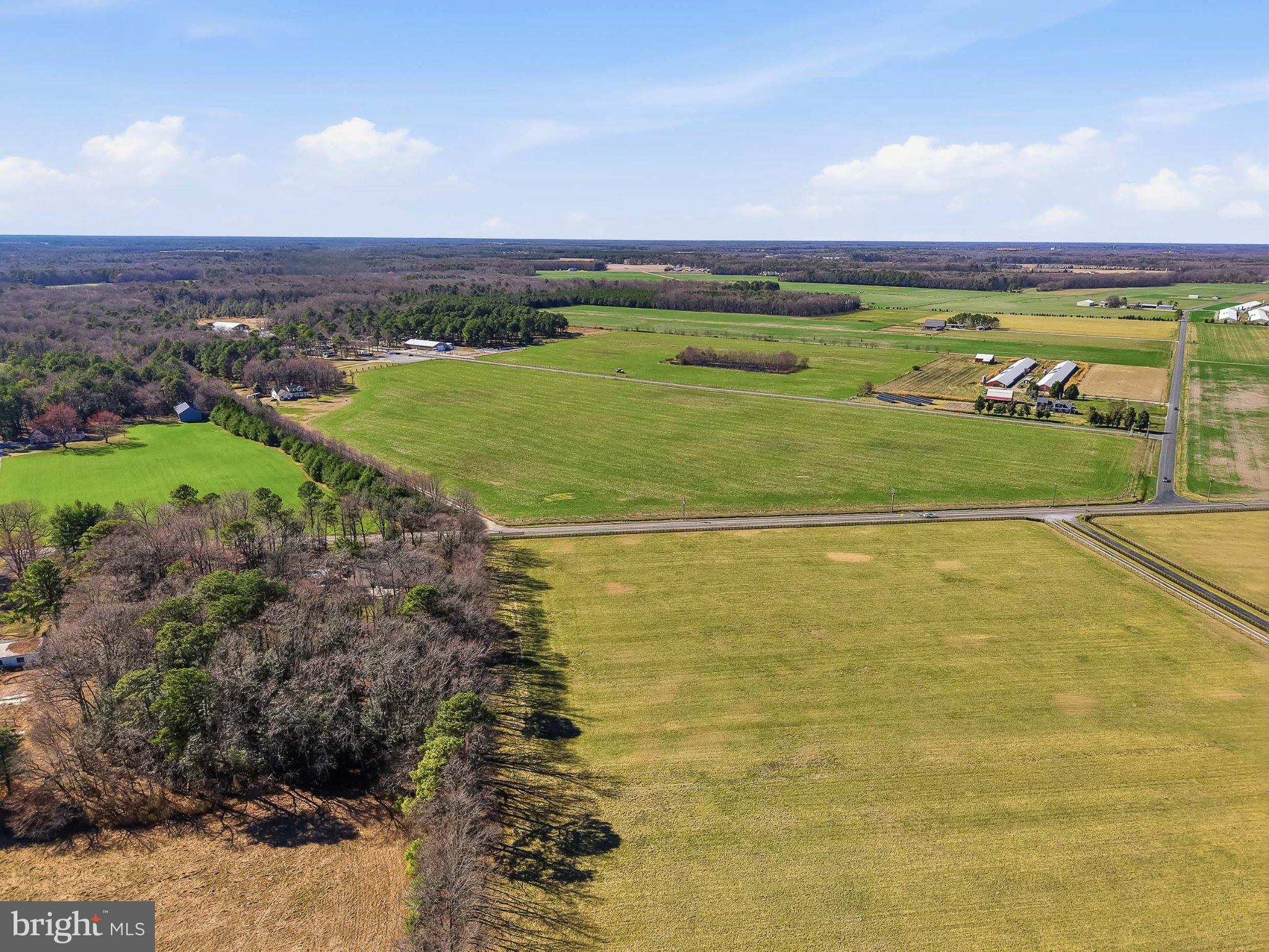 89 Hunting Quarter Road Harrington, DE 19952 - Photo 4 of 26
