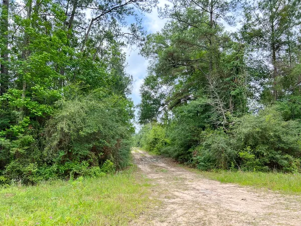 $82,650 | 6 Fm 2937/old Arco Road, Silsbee, TX 77656