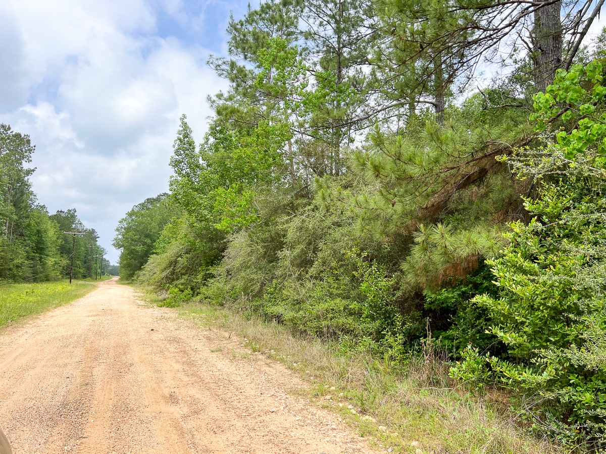 6 Fm 2937/old Arco Road Silsbee, TX 77656 - Photo 6 of 8