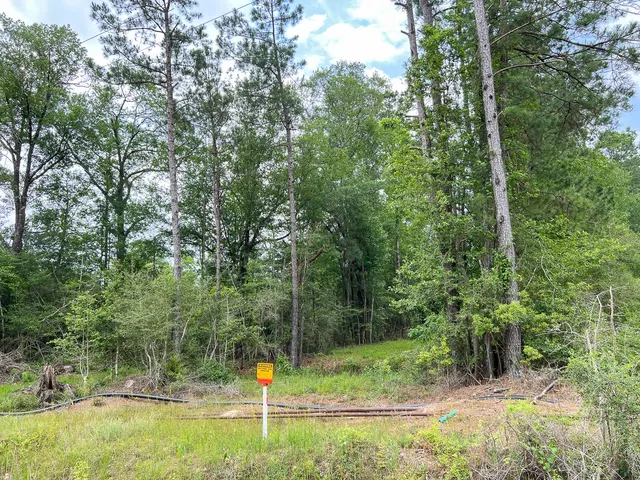 $82,650 | 6 Fm 2937/old Arco Road, Silsbee, TX 77656