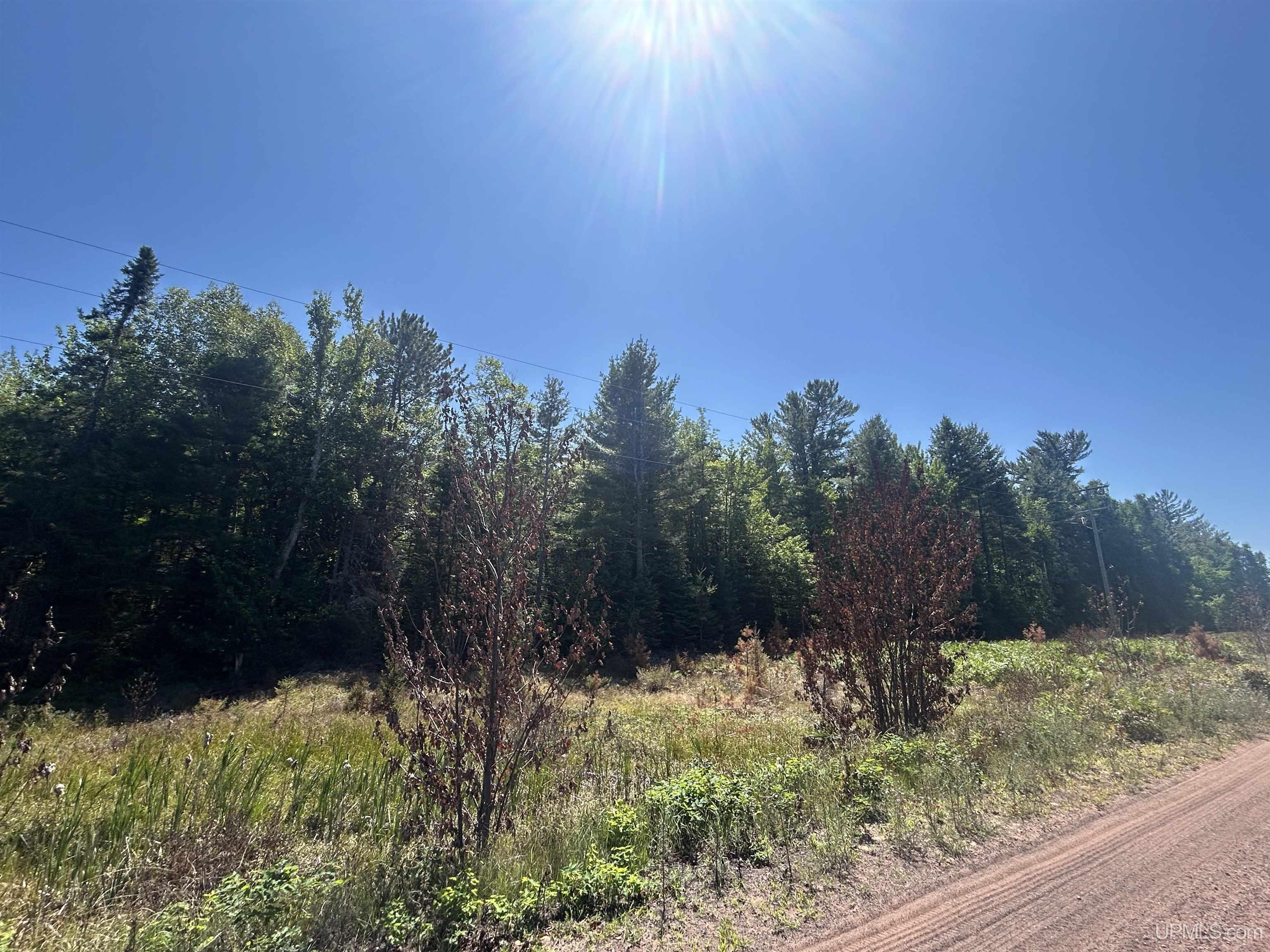 2650 East Co Road Little Lake, MI 49833 - Photo 40 of 40