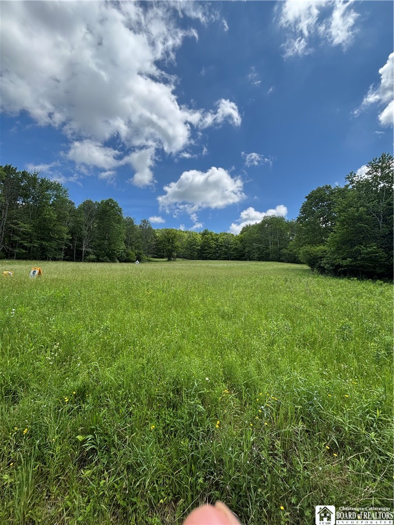 1471 Loomis Road Rexville, NY 14877 - Photo 37 of 50