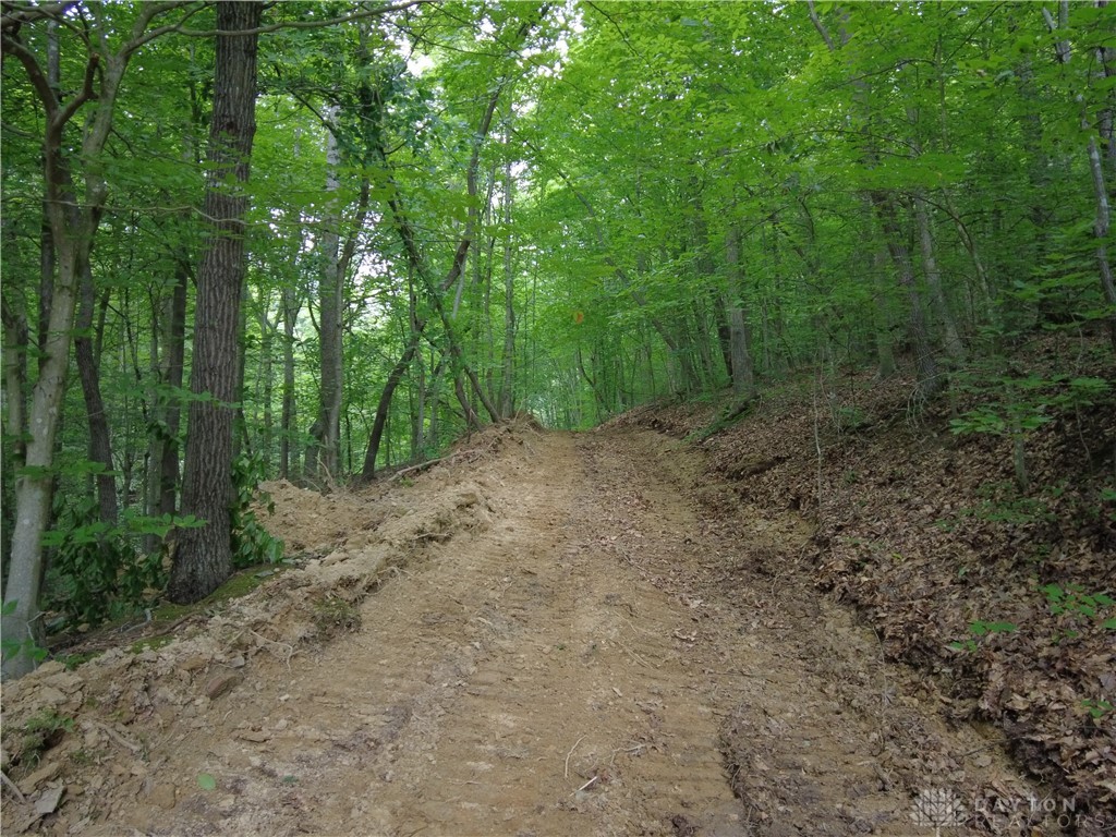 94-acres Naces Run Road Stout, OH 45684 - Photo 6 of 36 Gallery Image 6