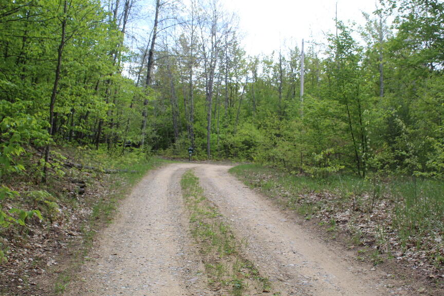 Parcel #9 Parcel Road Mio, MI 48647 - Photo 11 of 12 Gallery Image 11