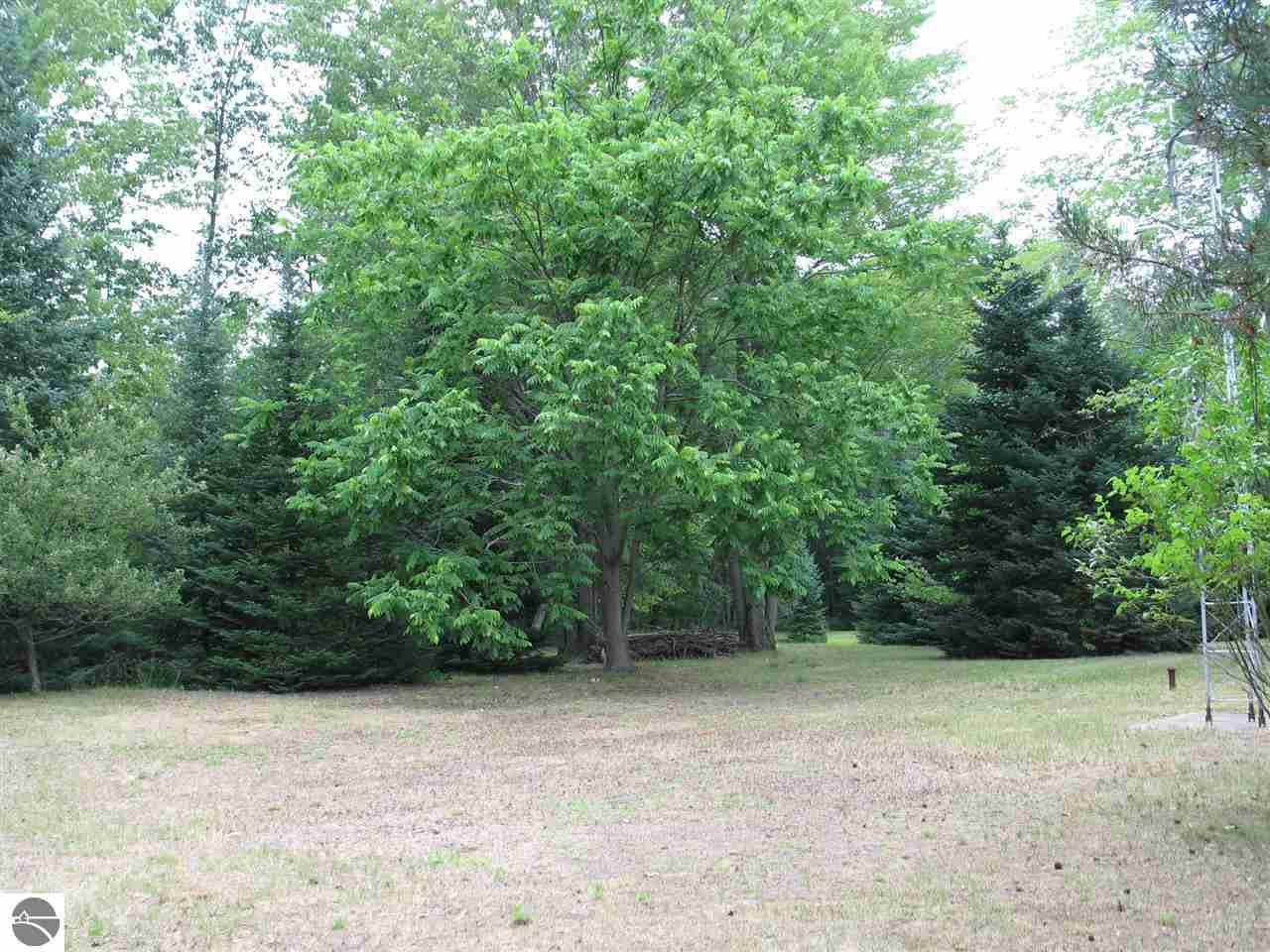 8562 Ora Lake Road Hale, MI 48739 - Photo 2 of 17 1748901-1.JPG