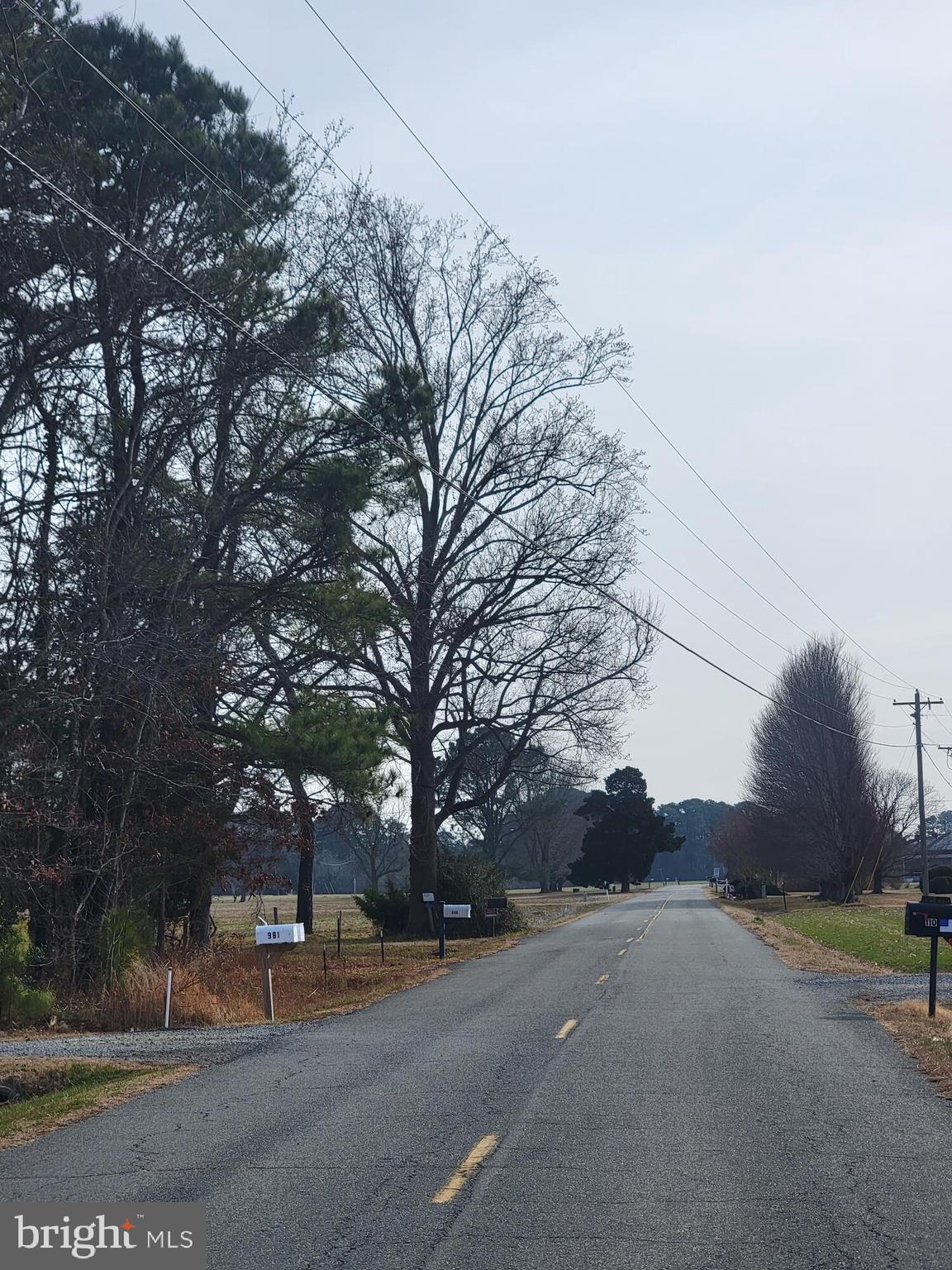 961 Ferry Road Heathsville, VA 22473 - Photo 5 of 6 a view of road and trees