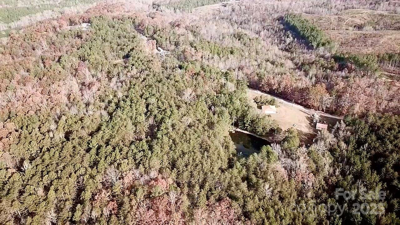 0 Old Seine Road Smyrna, SC 29743 - Photo 5 of 6 a view of a yard with a tree