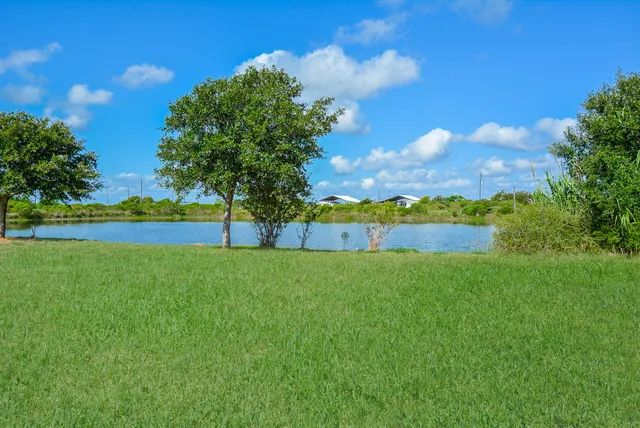 a view of a park with large trees