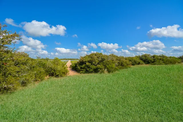a view of a big yard with swimming pool and green space