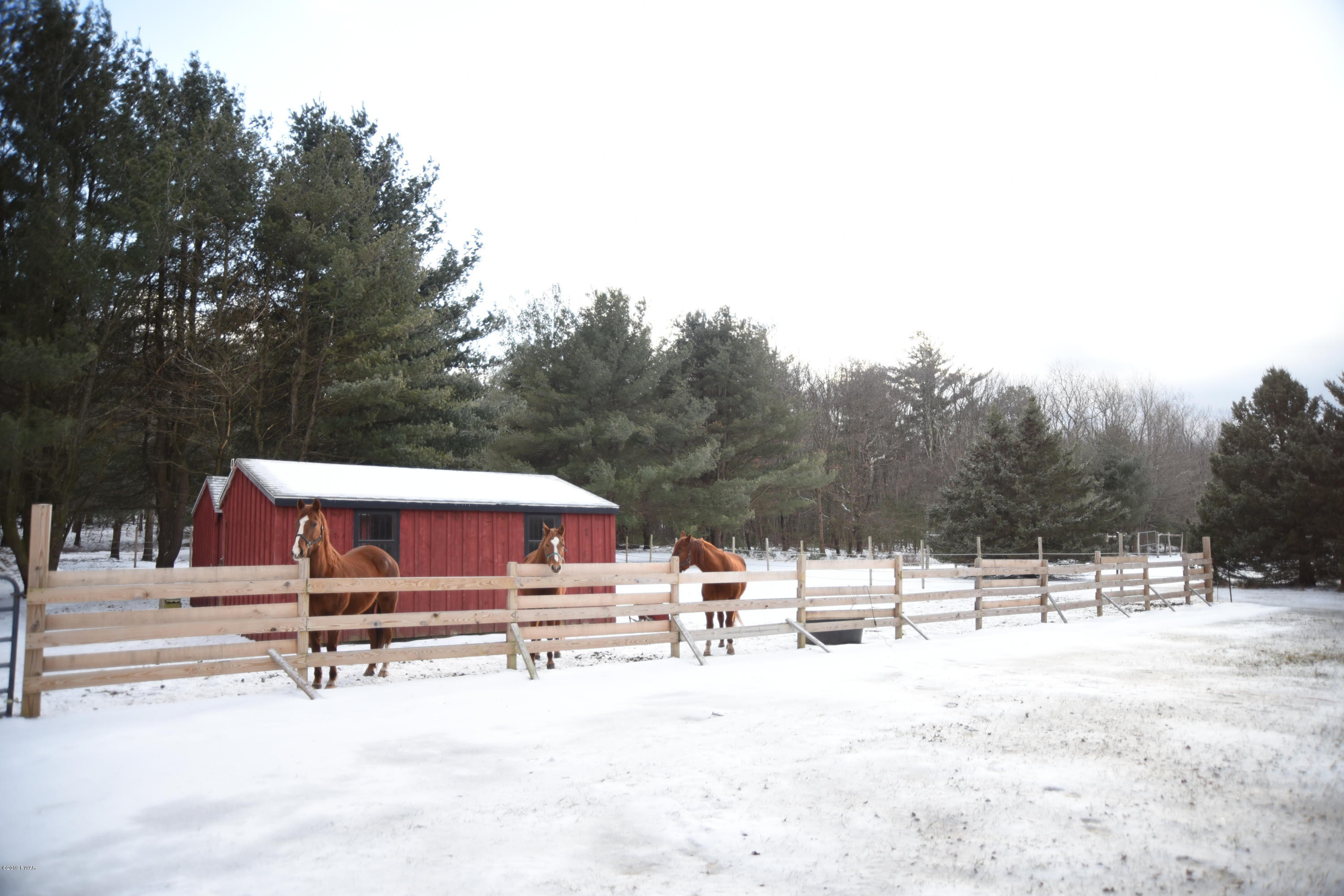 356 Springbrook Road Shohola, PA 18458 - Photo 49 of 53 Barns