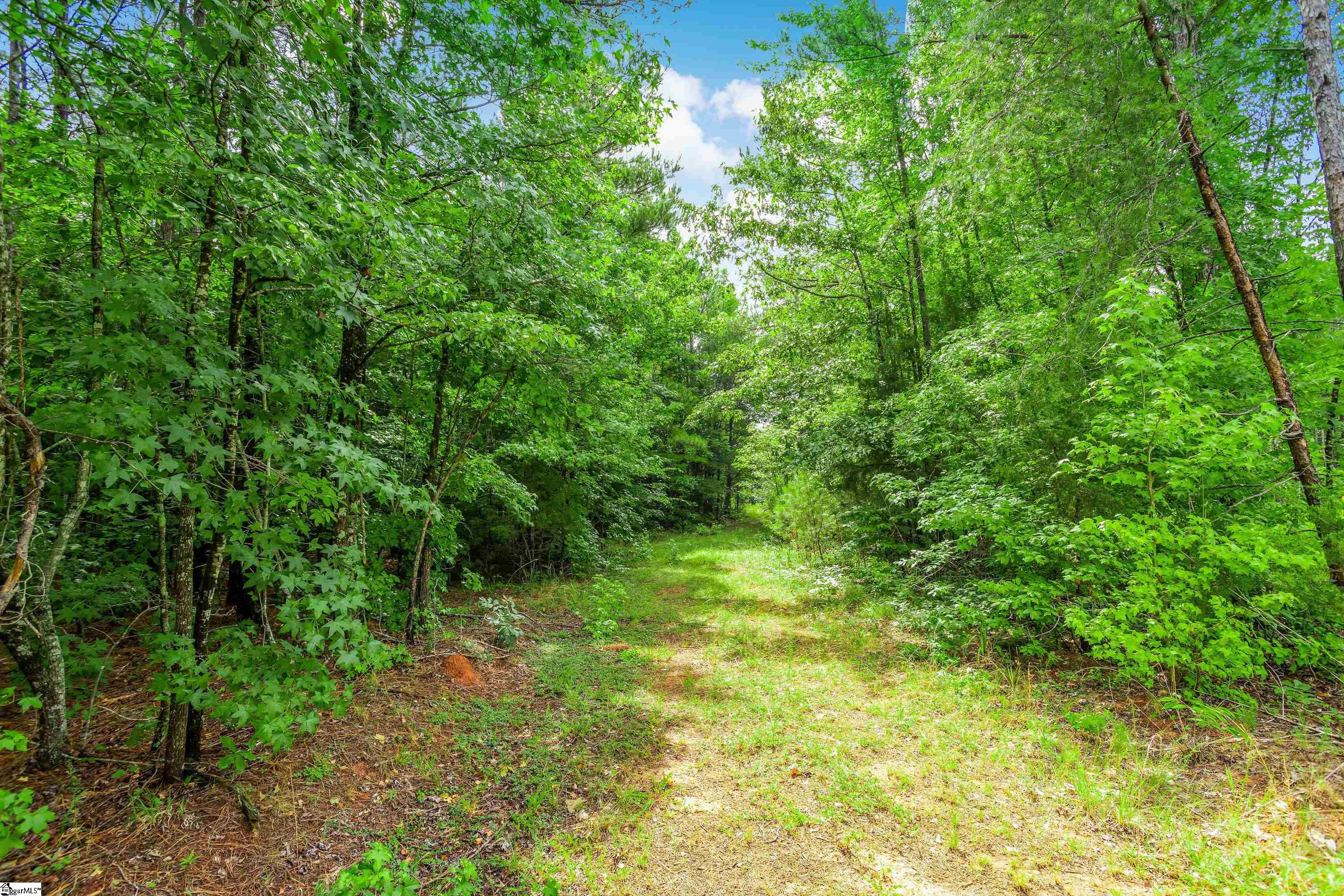 0 Kilgore Bridge Road Woodruff, SC 29388 - Photo 16 of 25
