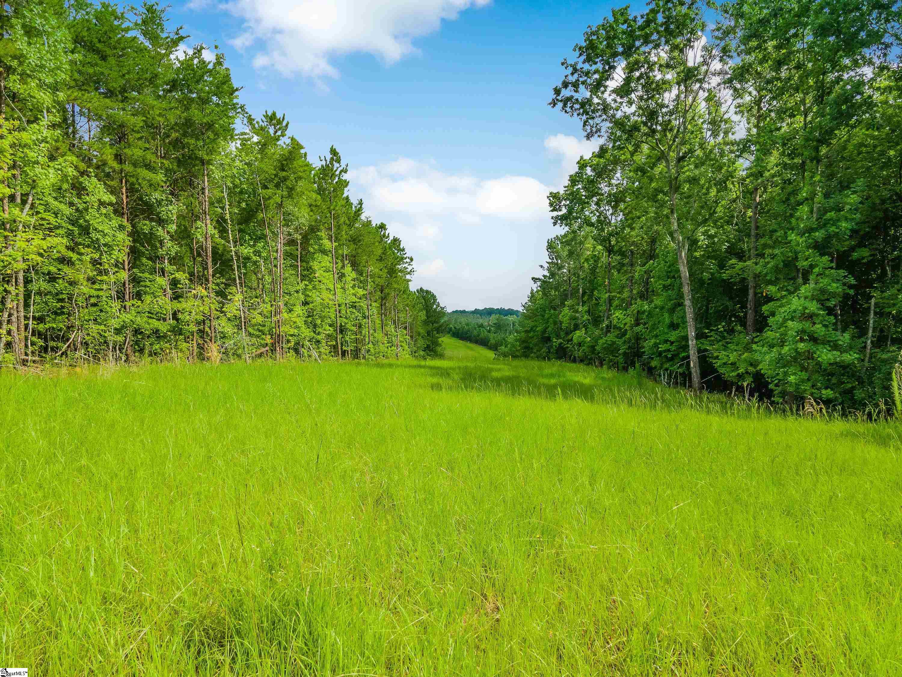 0 Kilgore Bridge Road Woodruff, SC 29388 - Photo 23 of 25