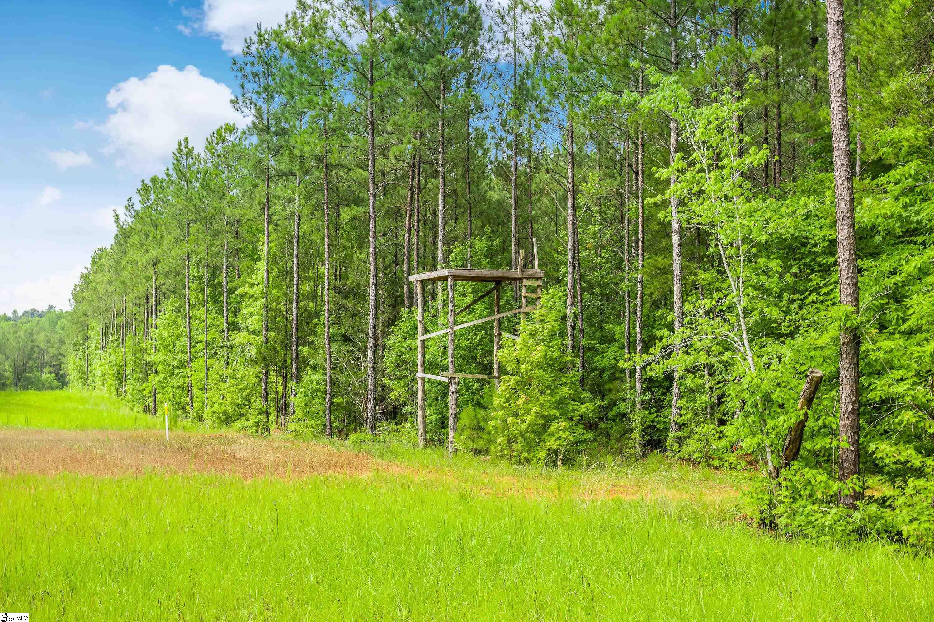 0 Kilgore Bridge Road Woodruff, SC 29388 - Photo 6 of 25