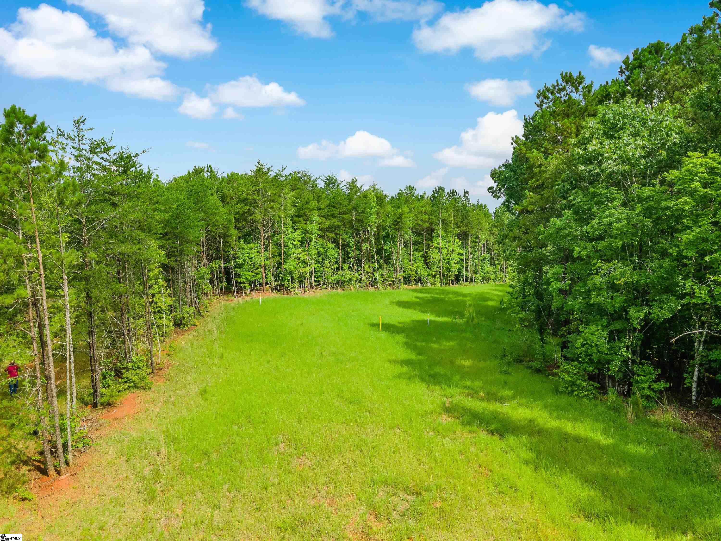 0 Kilgore Bridge Road Woodruff, SC 29388 - Photo 8 of 25