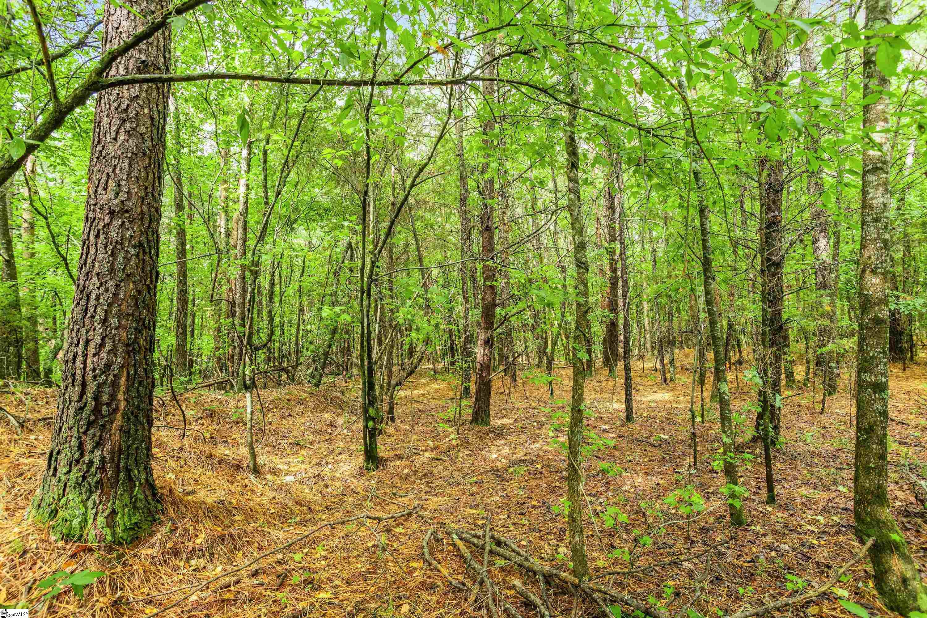 0 Kilgore Bridge Road Woodruff, SC 29388 - Photo 10 of 25