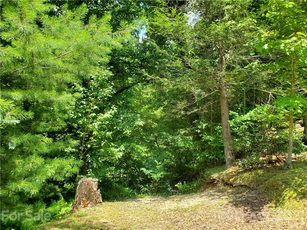 263 Long Ridge Road Brevard, NC 28712 - Photo 1 of 5 Gallery Image 1