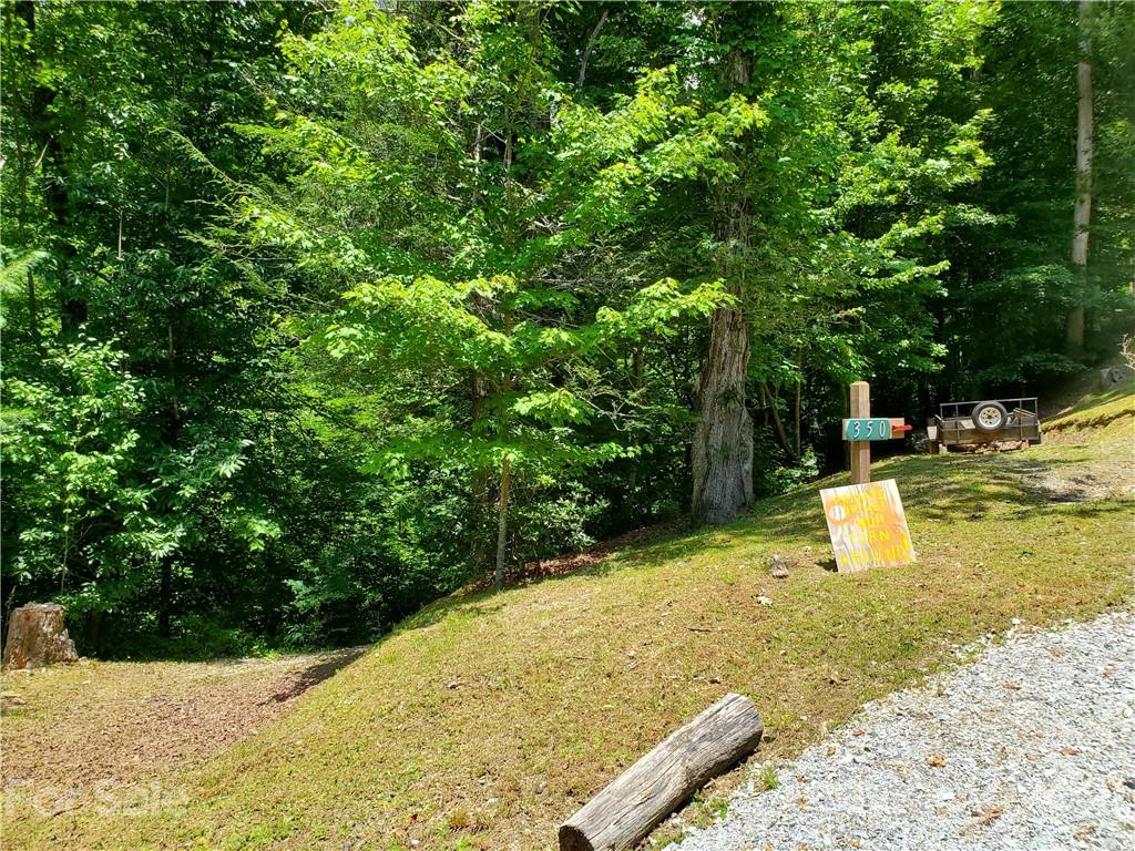 263 Long Ridge Road Brevard, NC 28712 - Photo 2 of 5 Gallery Image 2