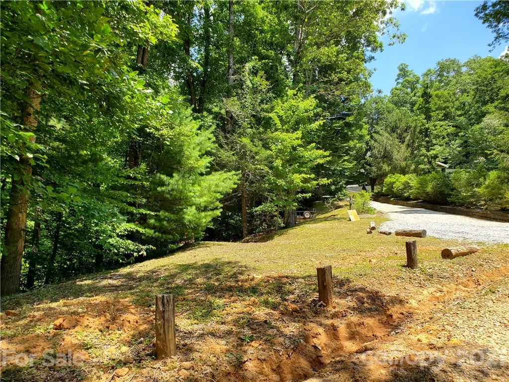 263 Long Ridge Road Brevard, NC 28712 - Photo 4 of 5 Gallery Image 4