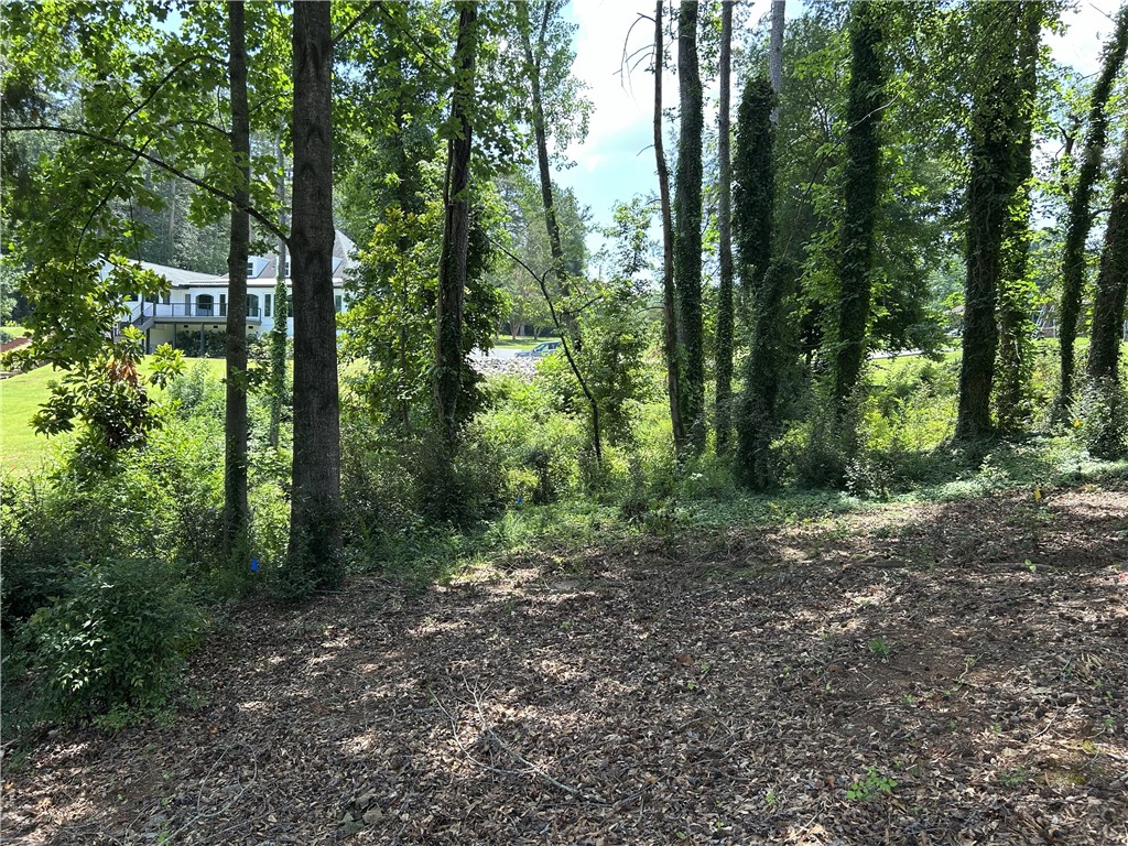 408 Northampton Road, Unit TRACT B Seneca, SC 29672 - Photo 4 of 5